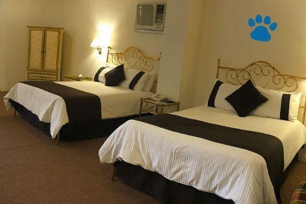 Best Western Ferrat Temuco Dış mekan fotoğraf